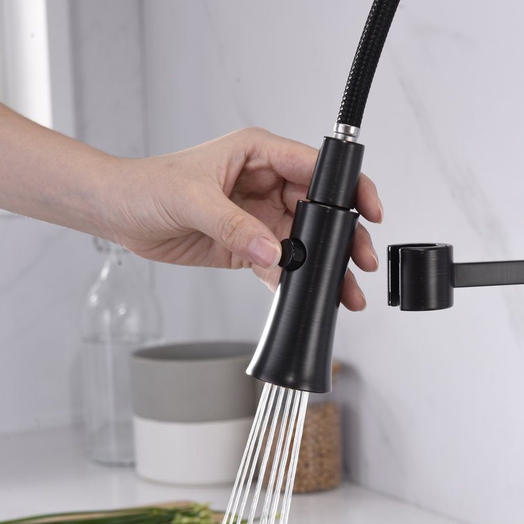 Oil Rubbed Bronze Single-Handle Pull-Down Kitchen Faucet