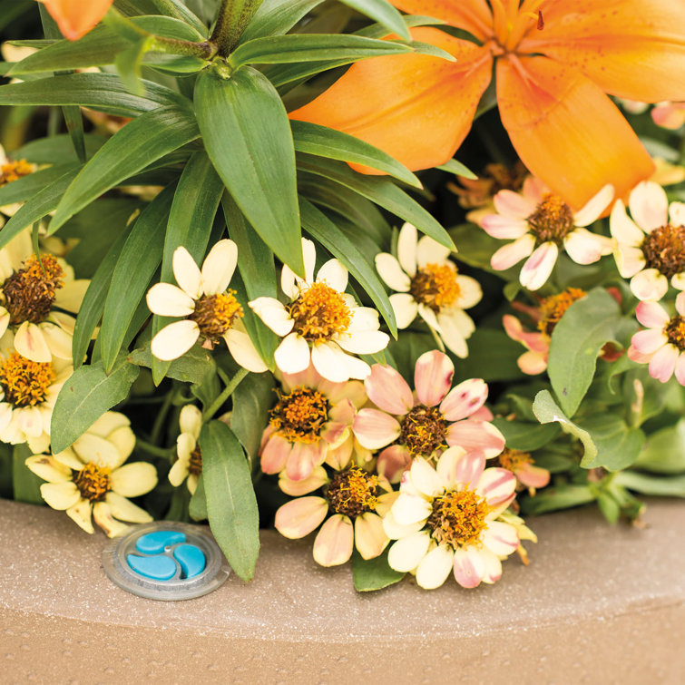 Mocha Round Heavy-Duty Plastic Indoor/Outdoor Planter Pot