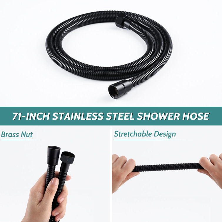 Matte Black Adjustable Dual Rain and Handheld Shower Head