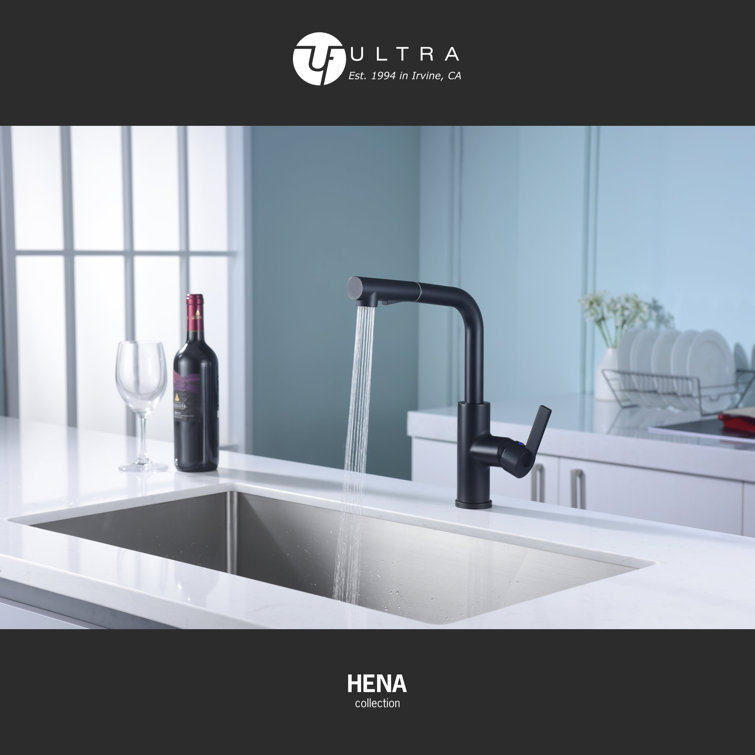 Matte Black Contemporary Pull-Out Kitchen Faucet with Lever Handle
