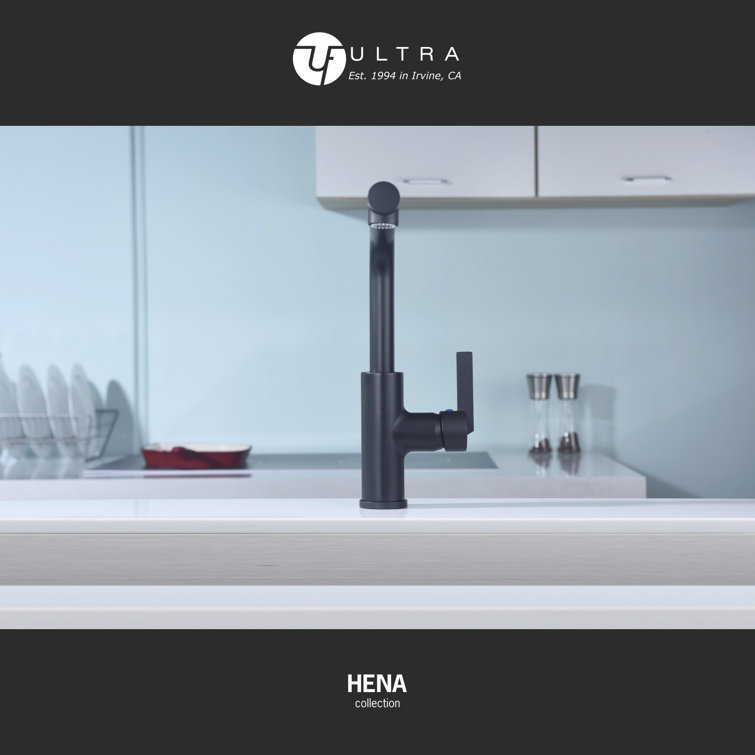 Matte Black Contemporary Pull-Out Kitchen Faucet with Lever Handle