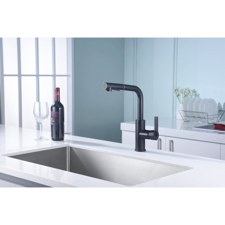 Matte Black Contemporary Pull-Out Kitchen Faucet with Lever Handle