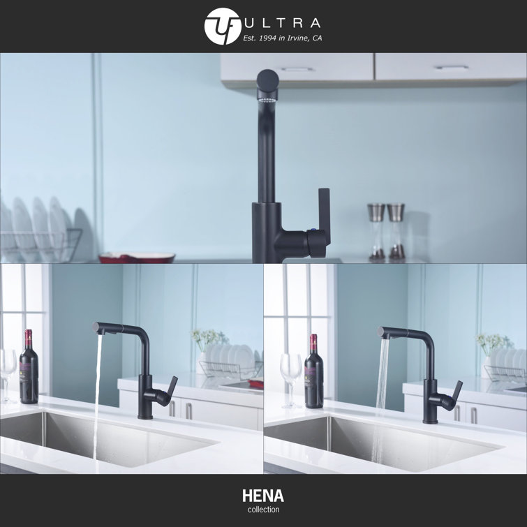 Matte Black Contemporary Pull-Out Kitchen Faucet with Lever Handle
