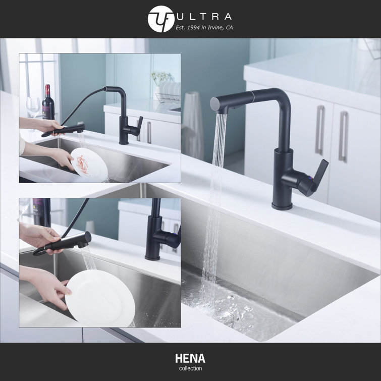 Matte Black Contemporary Pull-Out Kitchen Faucet with Lever Handle