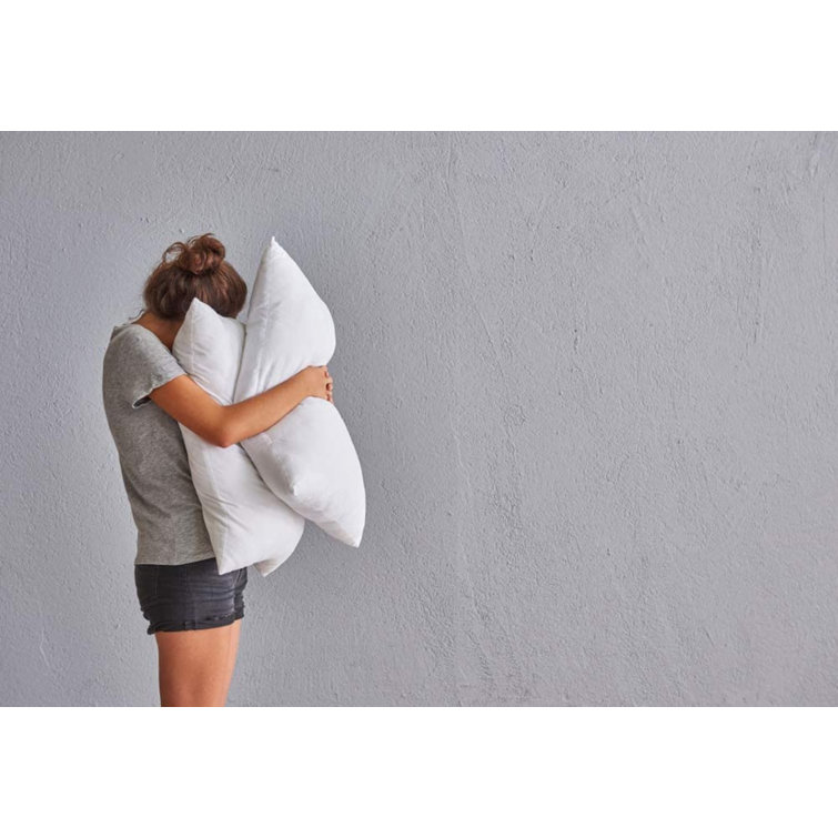 Standard White Goose Feather Down Bed Pillows Set of 2