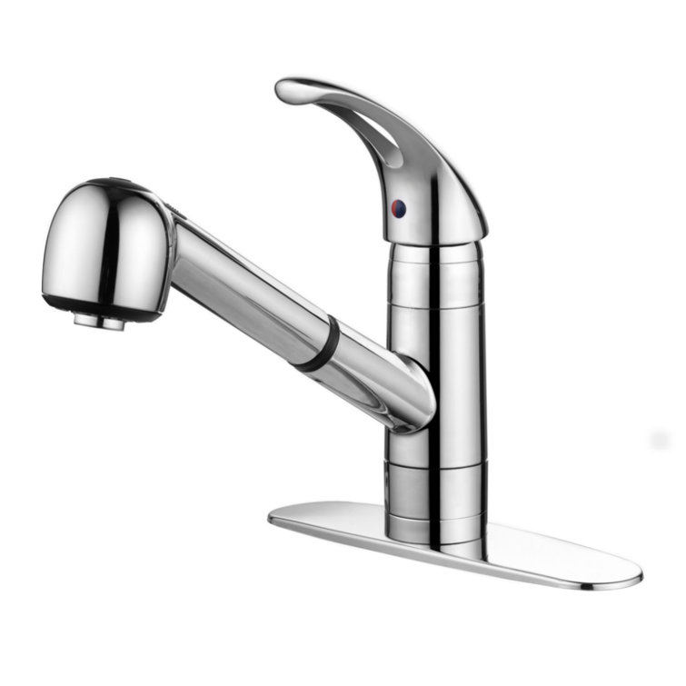 Chrome Single Handle Pull-Out Kitchen Faucet with Spray