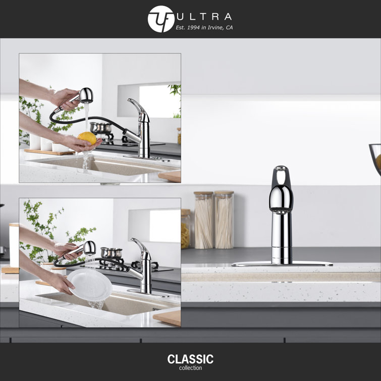 Chrome Single Handle Pull-Out Kitchen Faucet with Spray