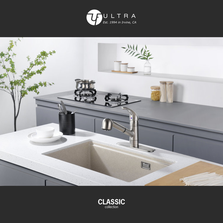Stainless Steel Single Handle Pull-Out Kitchen Faucet
