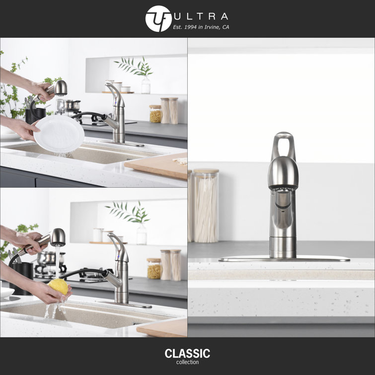 Stainless Steel Single Handle Pull-Out Kitchen Faucet