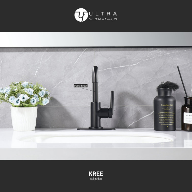 Matte Black Single-Handle Bathroom Faucet with Drain Assembly