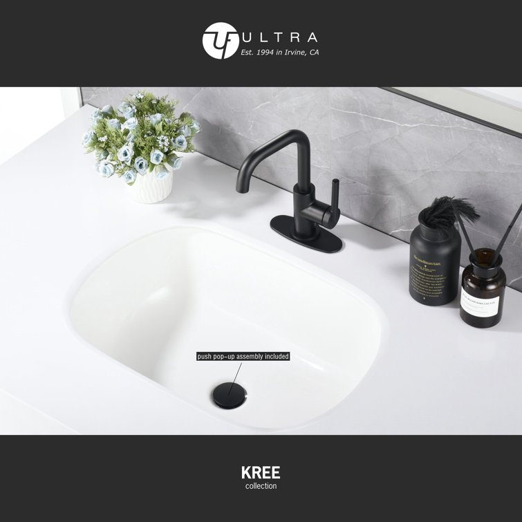 Matte Black Single-Handle Bathroom Faucet with Drain Assembly