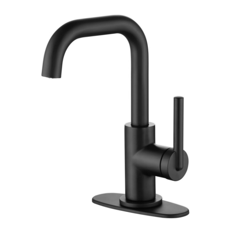 Matte Black Single-Handle Bathroom Faucet with Drain Assembly