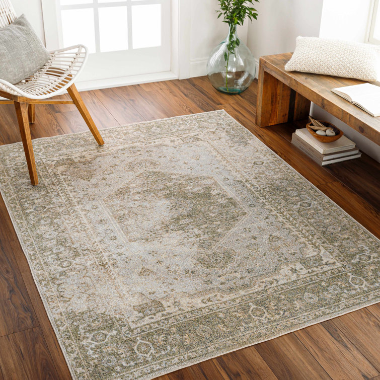 Gael Light Blue and Tan Washable Polyester Area Rug 2' x 3'