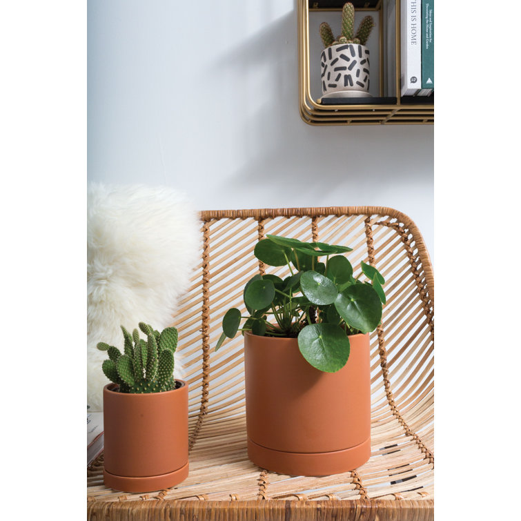 Terracotta Round Ceramic Pot Planter with Drainage Saucer