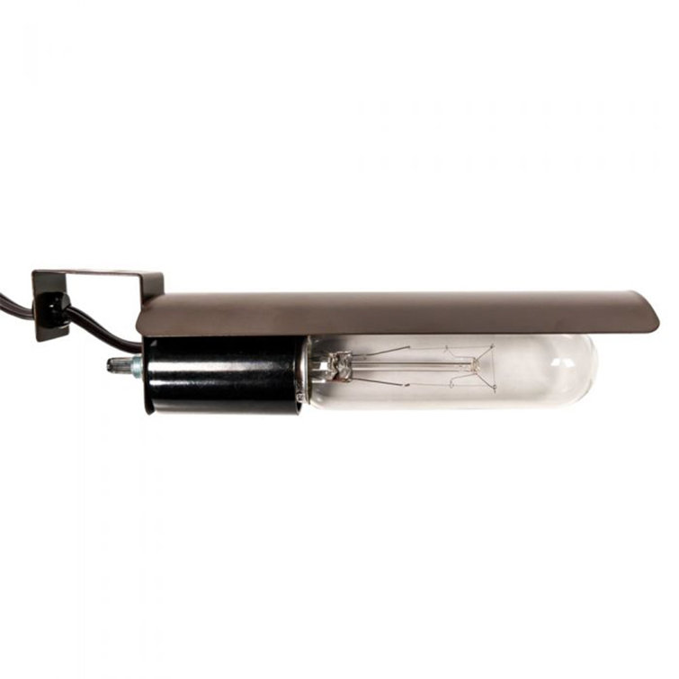 Brown Metal Incandescent Single Light Curio Kit