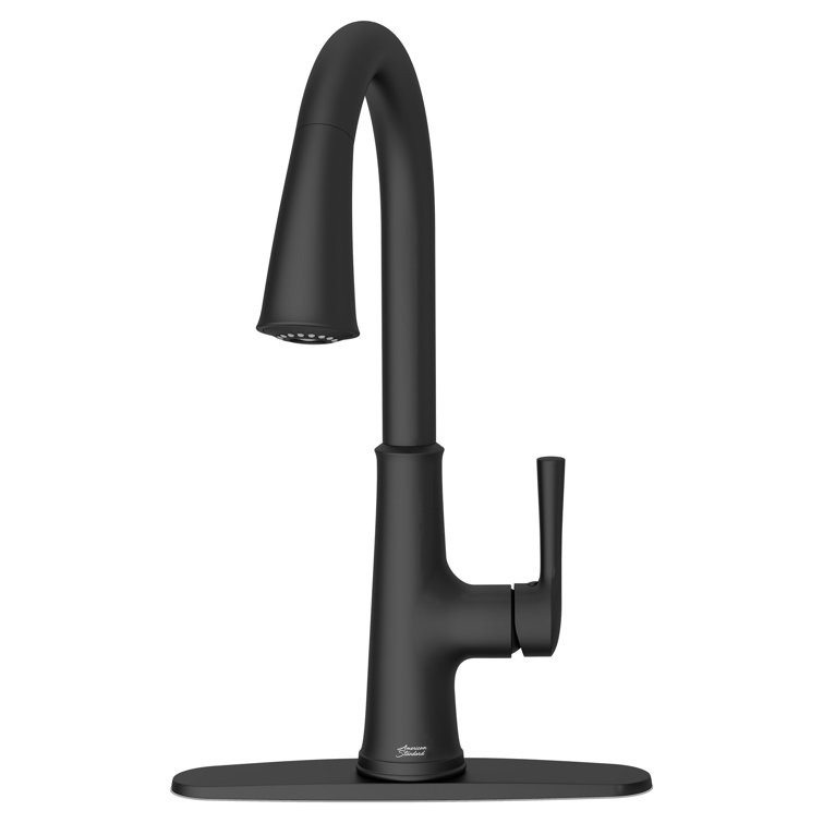 Matte Black Single Handle Pull-Down Kitchen Faucet with Spray