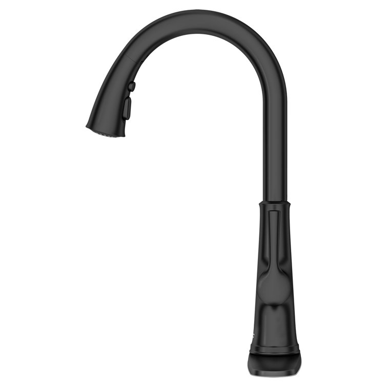 Matte Black Single Handle Pull-Down Kitchen Faucet with Spray