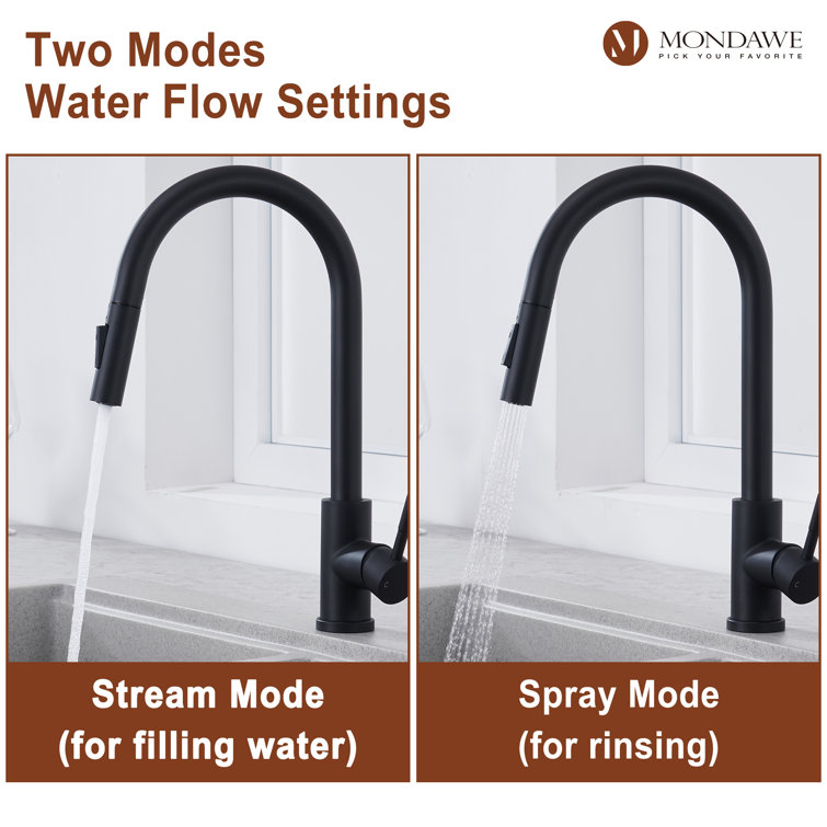 Matte Black Stainless Steel Pull-Out Spray Kitchen Faucet