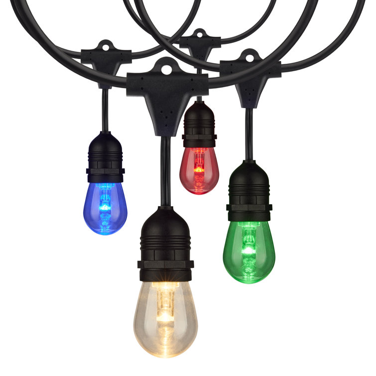 24-Foot Black LED String Lights with Color-Changing Bulbs and Remote