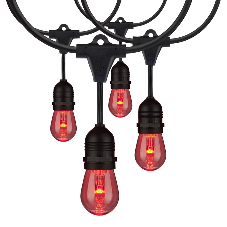 24-Foot Black LED String Lights with Color-Changing Bulbs and Remote
