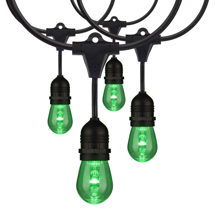 24-Foot Black LED String Lights with Color-Changing Bulbs and Remote