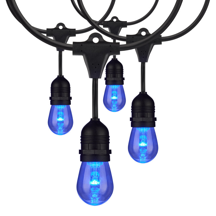24-Foot Black LED String Lights with Color-Changing Bulbs and Remote