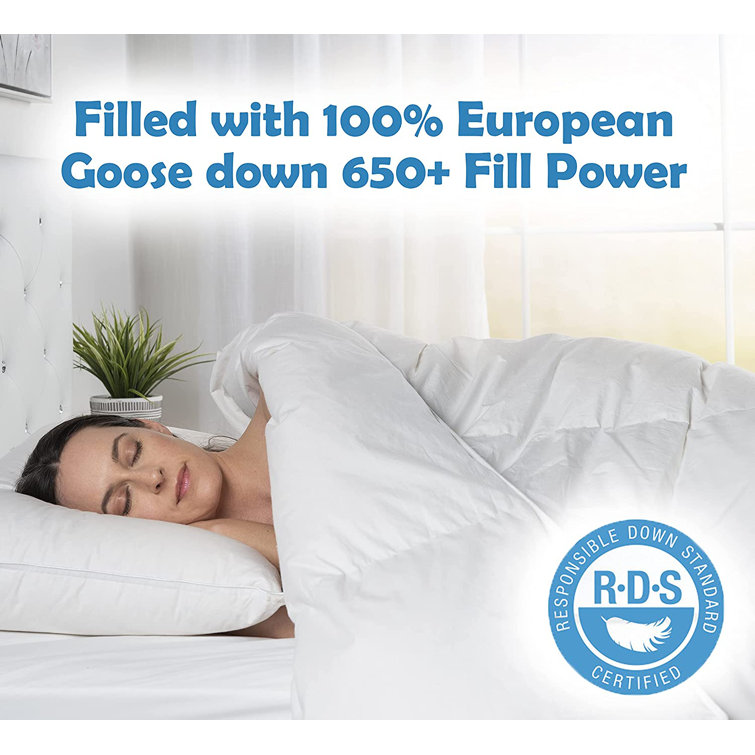 Twin White Cotton Goose Down Comforter with Corner Tabs
