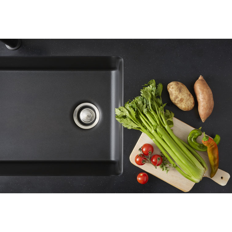 Charcoal 1 HP Continuous Feed Garbage Disposal with Sound Reduction