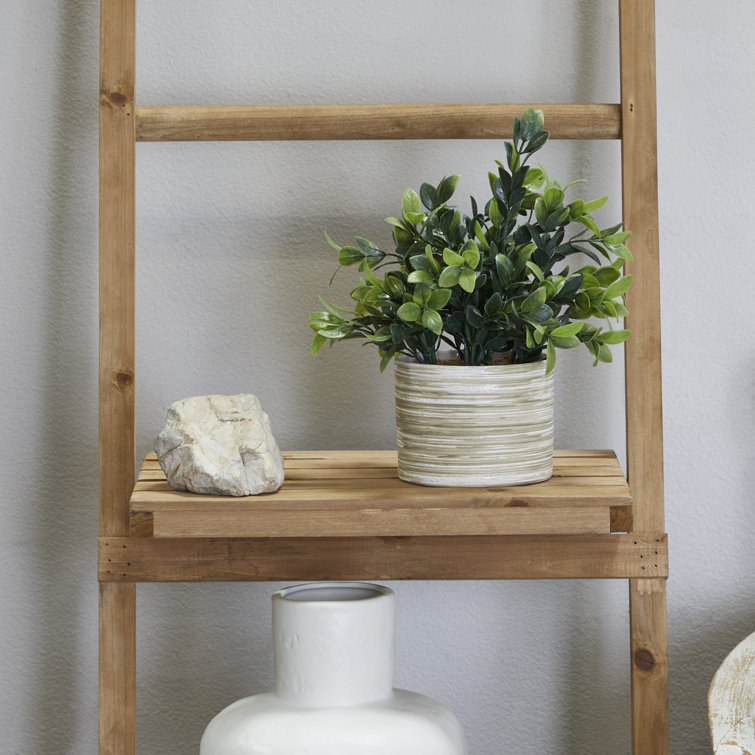 Compact Green Artificial Eucalyptus in Round Pot