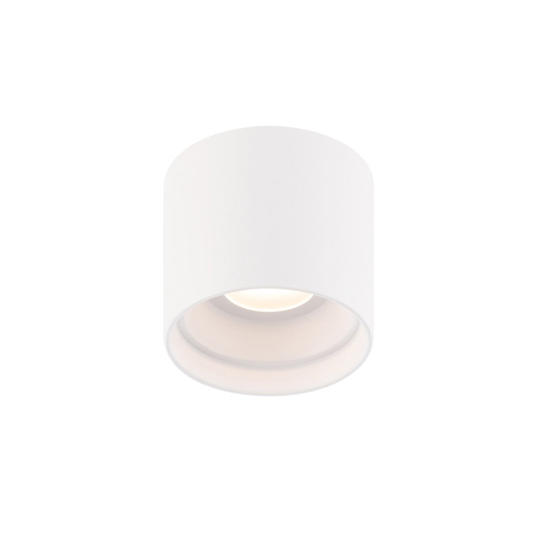 White Glass LED Indoor/Outdoor Flush Mount Light