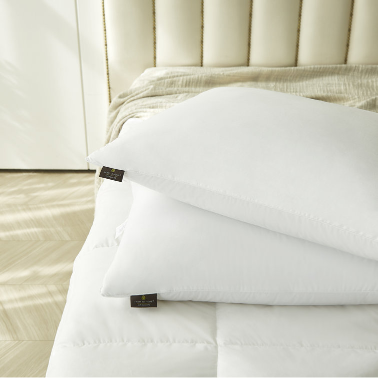 Jumbo White Hypoallergenic Down Alternative Pillow Set