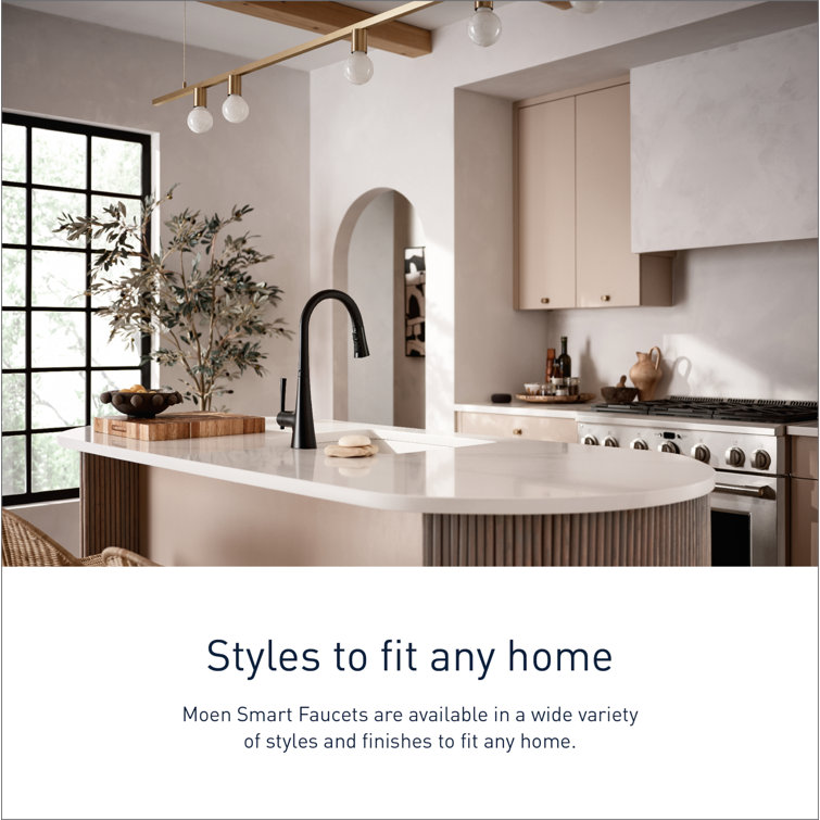 Matte Black Stainless Steel Pull-Down Kitchen Faucet with Spray