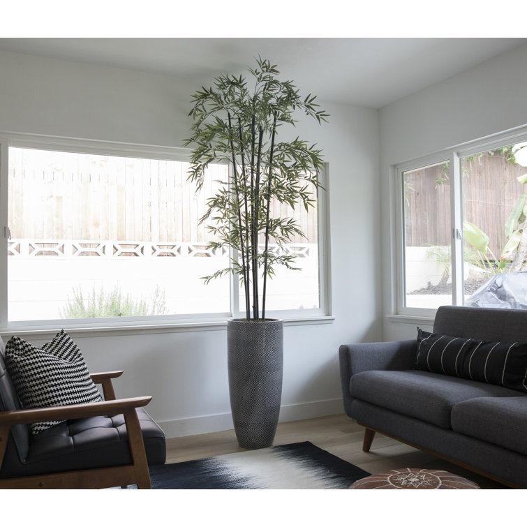 72" Tall Green Bamboo Tree with Black Poles in Eco Planter