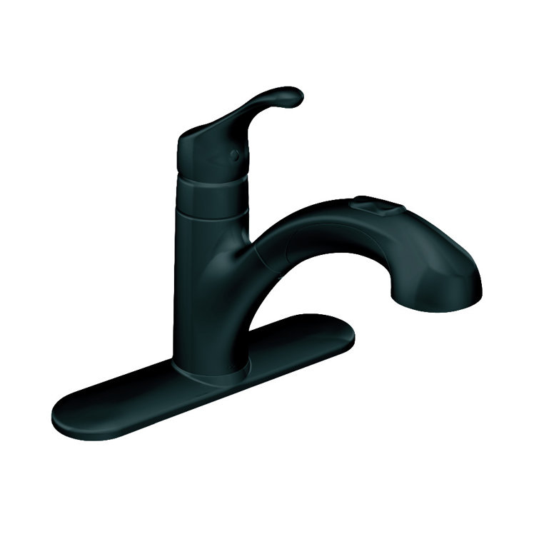 Matte Black Single Handle Pull-Out Kitchen Faucet