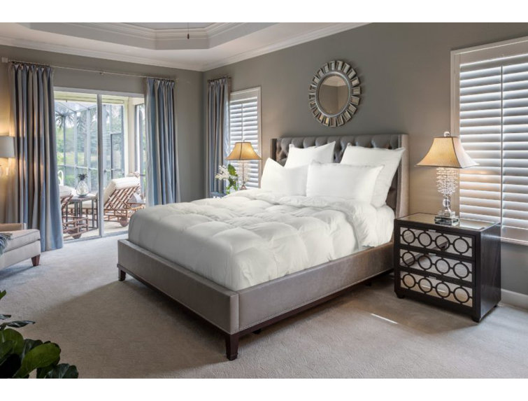 Queen White Organic Cotton Goose Down Comforter