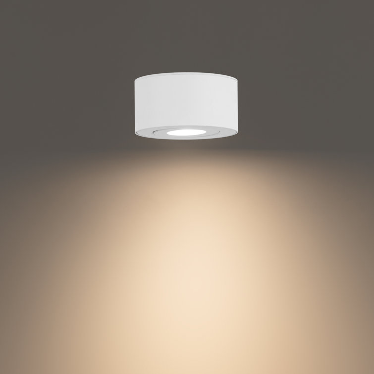 White Aluminum LED Indoor/Outdoor Flush Mount Light
