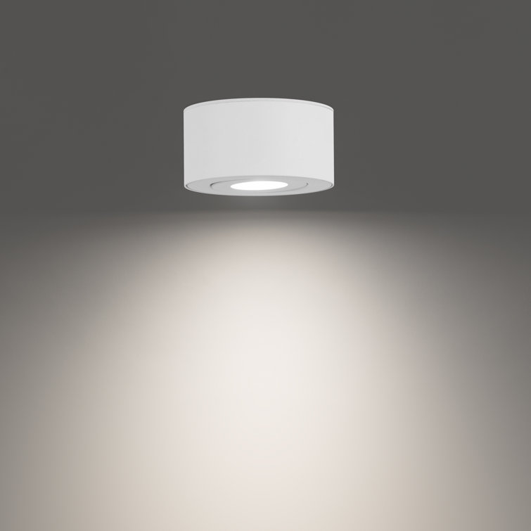 White Aluminum LED Indoor/Outdoor Flush Mount Light