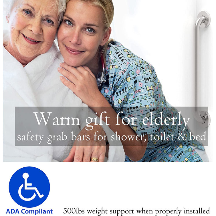 Stainless Steel Safety Handrail for Bathroom, 17.5" W