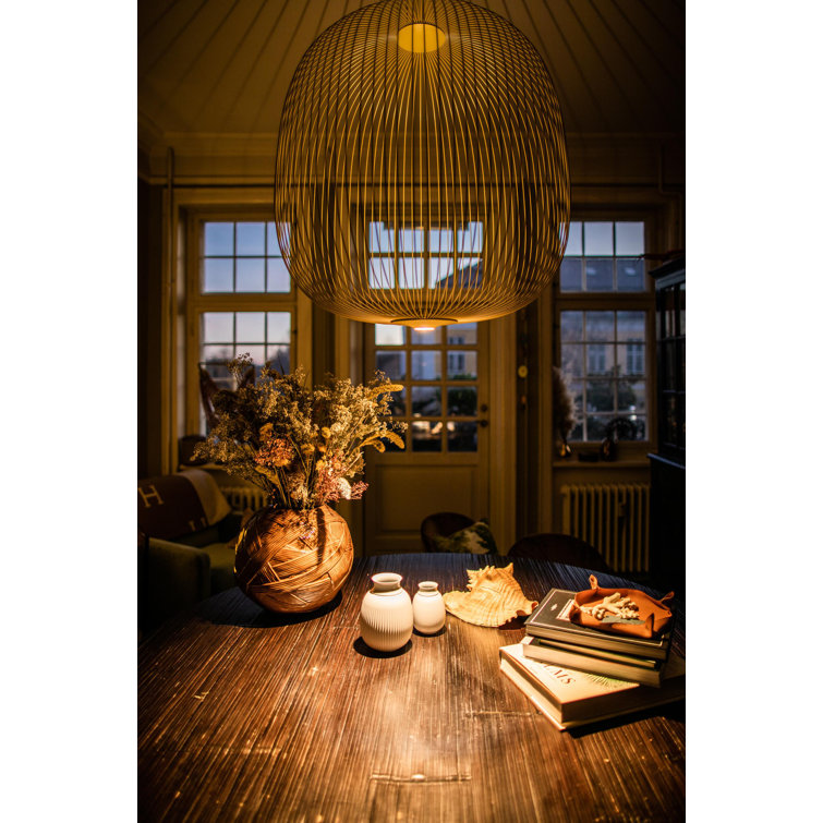 Gold Aluminum LED Pendant Light with Wire Frame