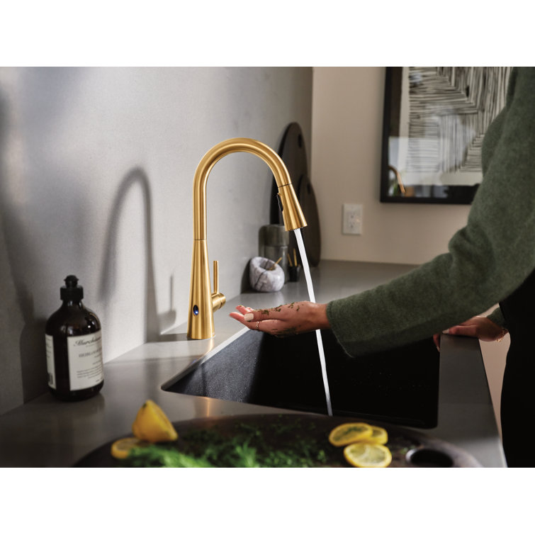 Modern Stainless Steel 15'' Pull-Out Spray Kitchen Faucet