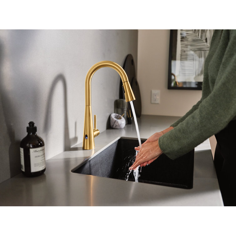 Modern Stainless Steel 15'' Pull-Out Spray Kitchen Faucet
