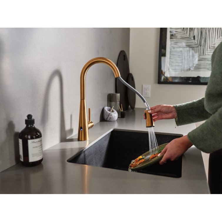 Modern Stainless Steel 15'' Pull-Out Spray Kitchen Faucet