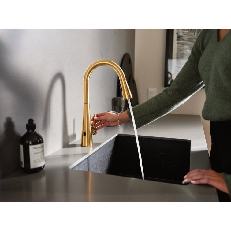 Modern Stainless Steel 15'' Pull-Out Spray Kitchen Faucet