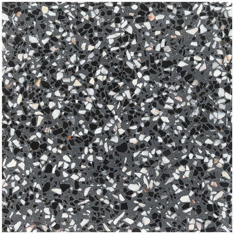 Raleigh 16.14" Polished Black and White Terrazzo Floor and Wall Tile