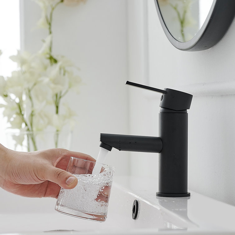 Matte Black Stainless Steel Single-Handle Bathroom Faucet