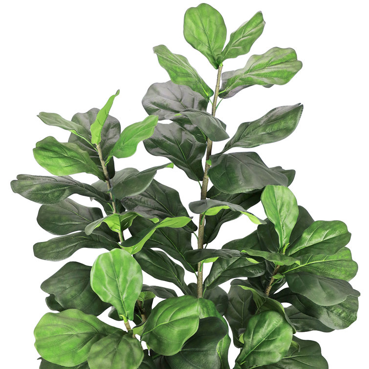72'' Green Artificial Fiddle Leaf Fig Plant in Black Pot