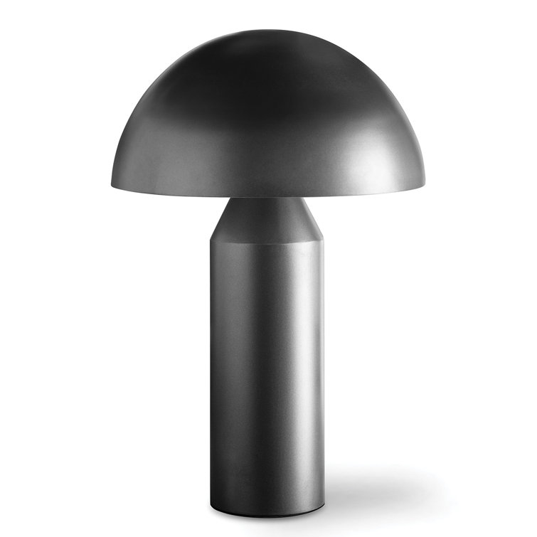 Apollo Blackened Iron Modern Table Lamp with Metal Shade