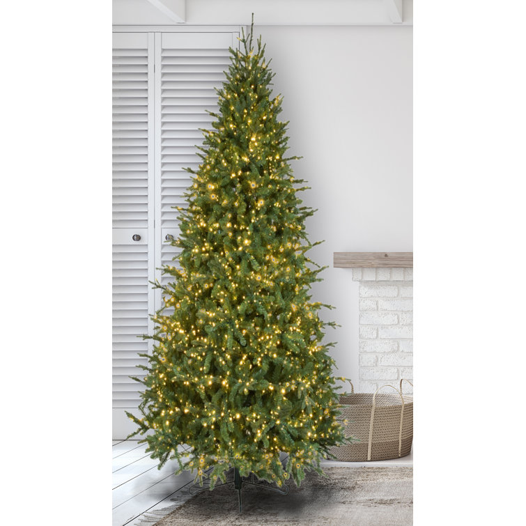 12' Green Fir Christmas Tree with Clear Lights