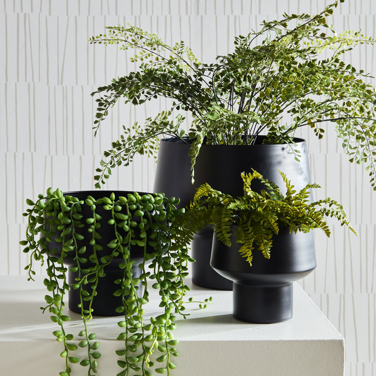 Sleek Matte Black Aluminum Indoor Planter Set
