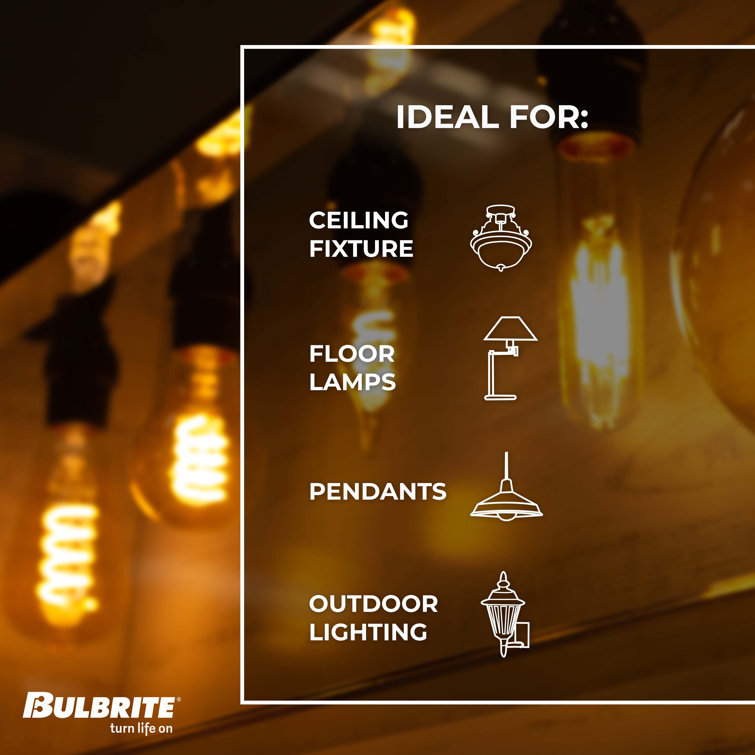 Oversized Clear LED Edison Bulb with Spiral Filament